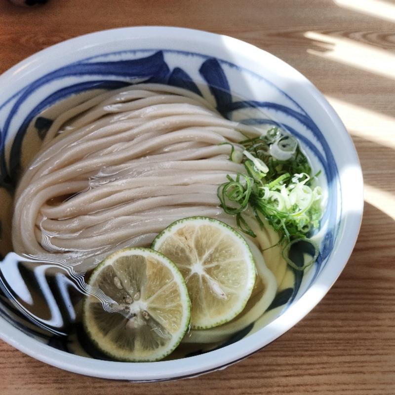 かけ冷（中）(うどん香麦 （こむぎ）)