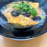 極王天津麺(餃子の王将 中環巨摩橋店)
