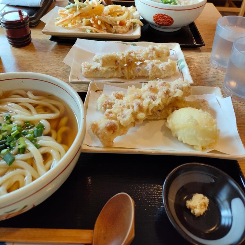 うどんと天ぷらトッピング(きたほのか )
