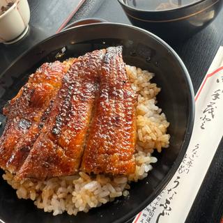 上うな丼(うなふじ支店 )