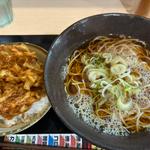 ミニ野菜かき揚げ丼セット