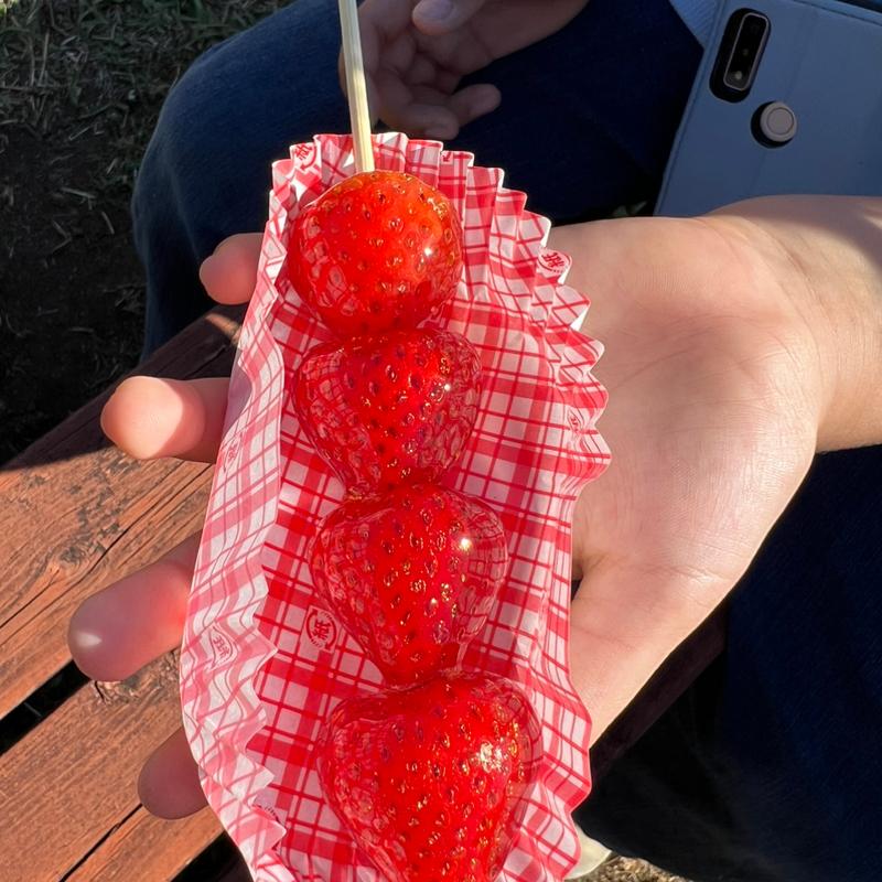 いちご飴　半とろけフローズン4粒(国営ひたち海浜公園)