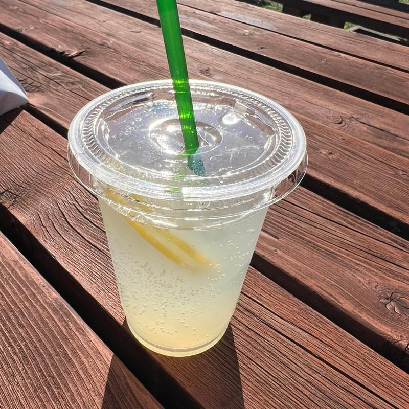 自家製レモンスカッシュ(国営ひたち海浜公園)