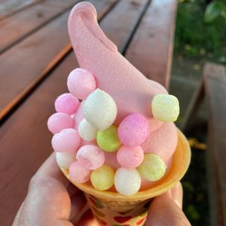 まるころコキアソフト