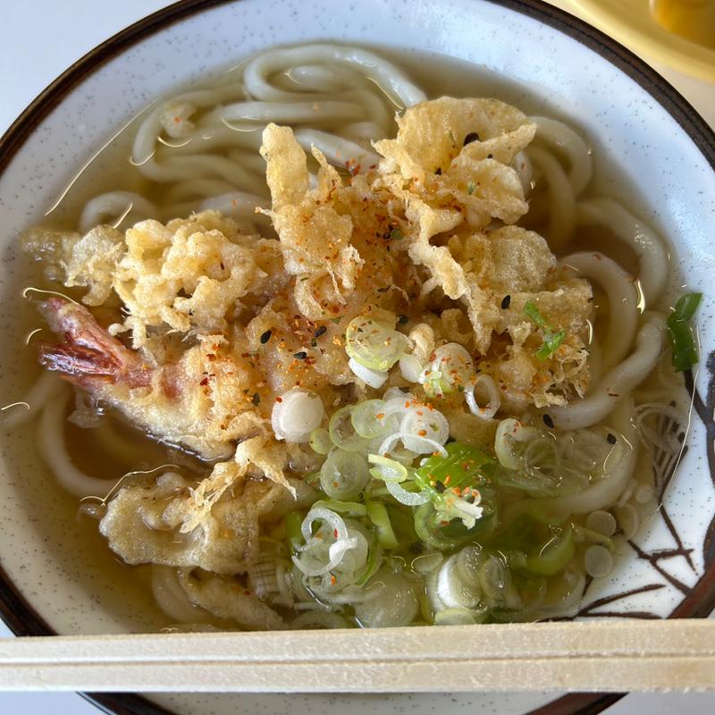天ぷらうどん(さぬきうどん )