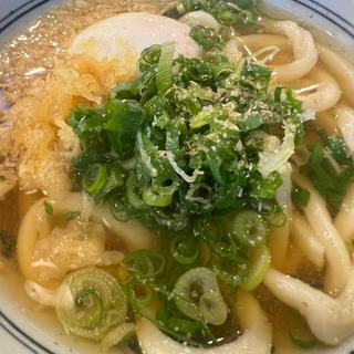 かけうどん＋卵(香の川製麺 山科店)