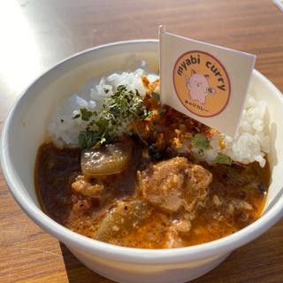 牛すじ味噌煮込みカレー(みゃびカレー)