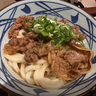 焼きたて肉うどん(丸亀製麺足立加平)