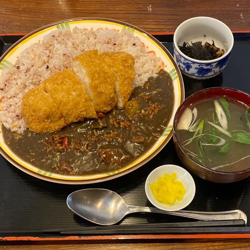 牛ずしカツカレー(源七 くろとり食堂)