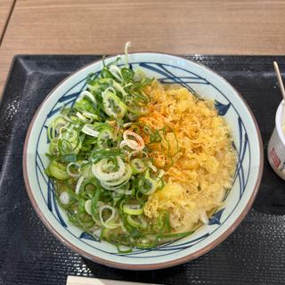 かけうどん(丸亀製麺アリオ川口)