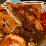びっくりチキンカツカレー（小）(カレー屋ジョニー お茶ノ水店 （カレーヤジョニー）)