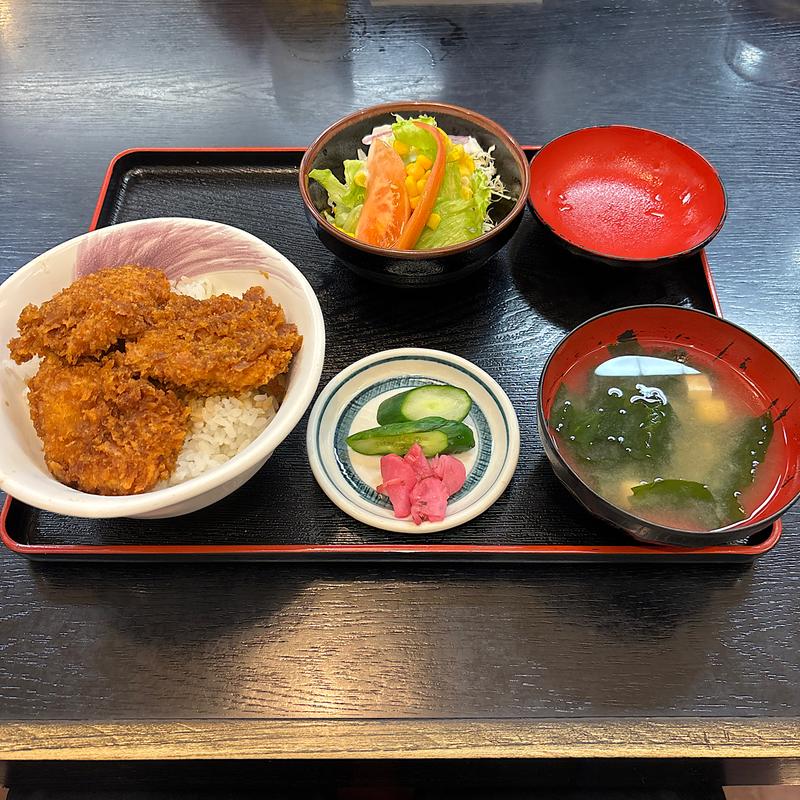 ヒレカツ定食(たつみ食堂 )