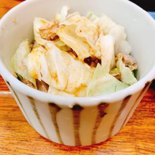 キャベチャー(心一家 )