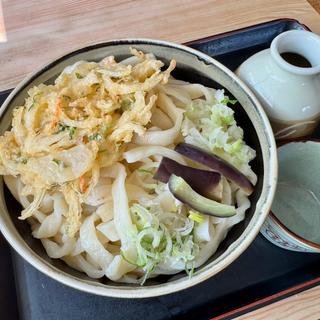 特大天もりひもかわうどん(小川ゆでめん店)