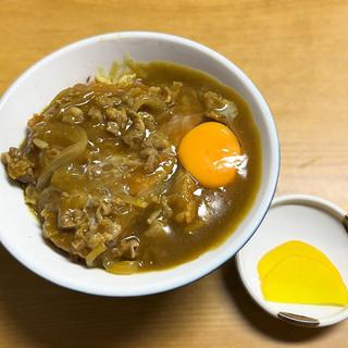 カツカレー丼