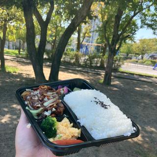 サンゴウ弁当（回鍋肉）