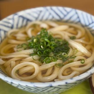 かけうどん(小)(さか枝うどん 本店)