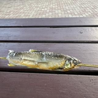 (那須高原SA)