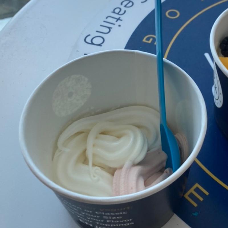 Greek Yogurt(Go Greek Yogurt)