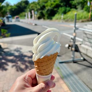 ソフトクリーム(風車【ハンバーガーカフェ】)