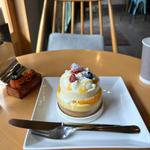 シタチーズ
