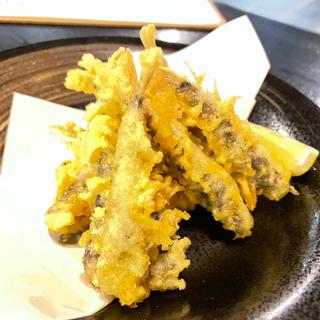 メヒカリの天ぷら(ごはんや いと)