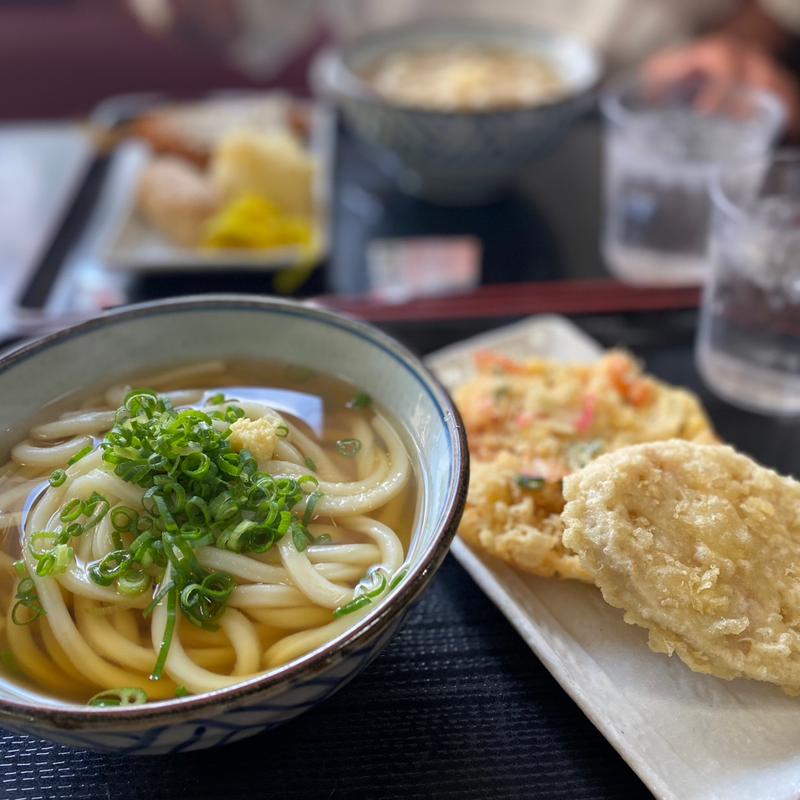 かけうどん（小）(たぬき屋 （たぬきや）)