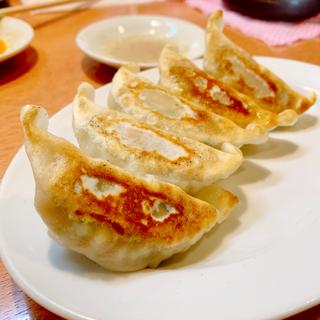 餃子(中華麺食堂かなみ屋 )