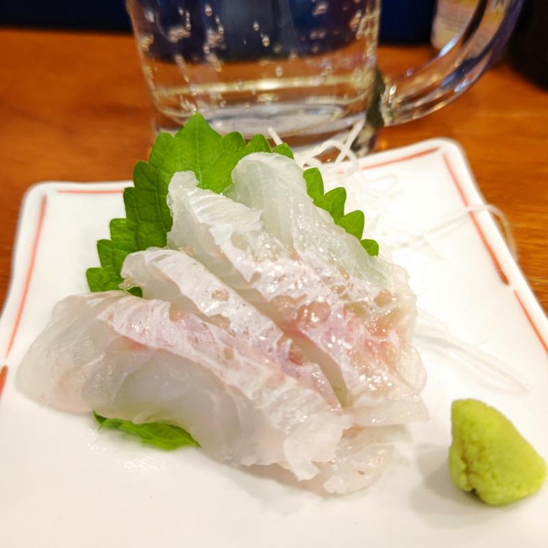 アオハタ(釣宿酒場マヅメ 野毛本店)