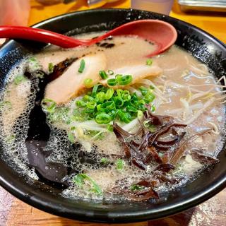 濃厚熊本ラーメン(博多ラーメン 一燈灯)