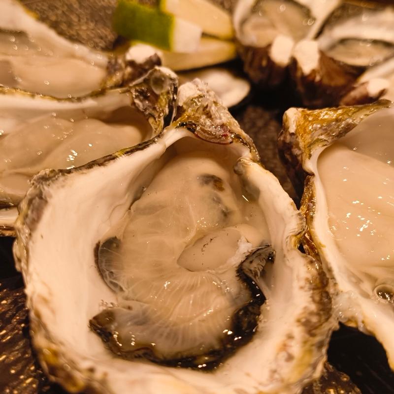 (生牡蠣研究所)