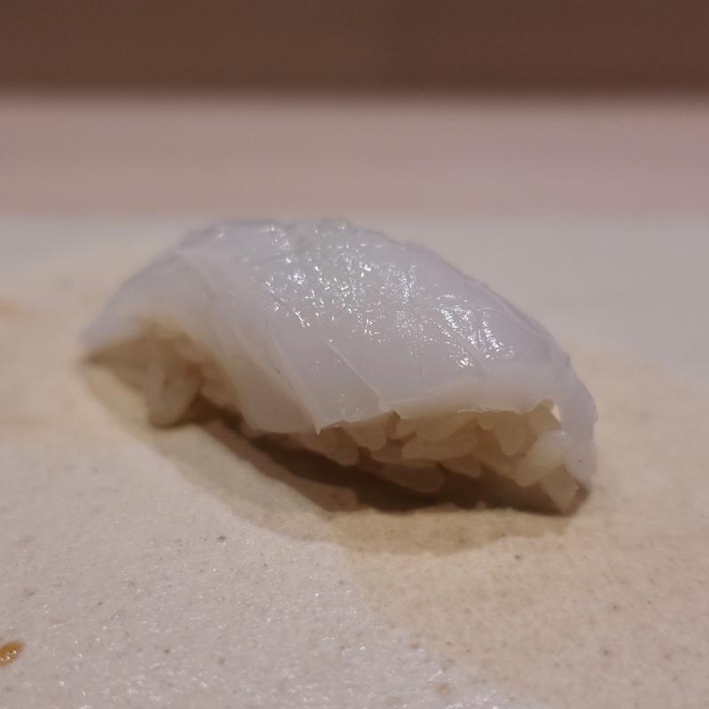 あおりいか(鮨なかむら)