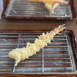 天遊定食(ぼぬーる)