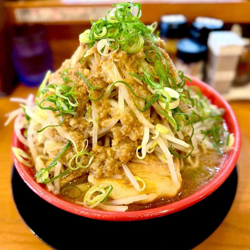 醤油ラーメン 大盛 ネギ(ナカモズマシマシ)