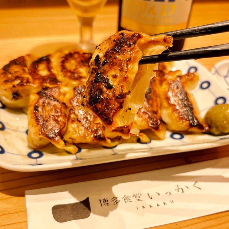 博多一口餃子(12個)(博多食堂いっかく 福岡空港)