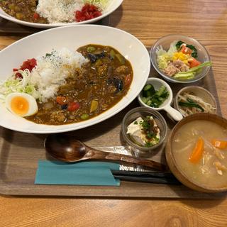 本日のカレー定食