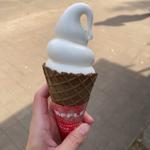 濃厚ソフト