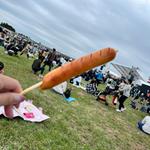 フランクフルト