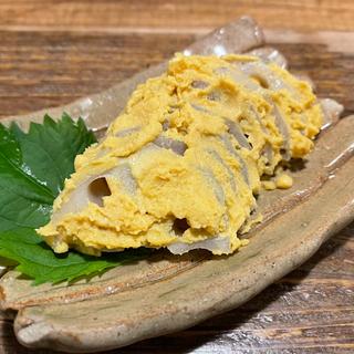 辛子れんこん(のげちゃん)