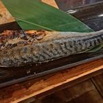 鯖の炙り焼き