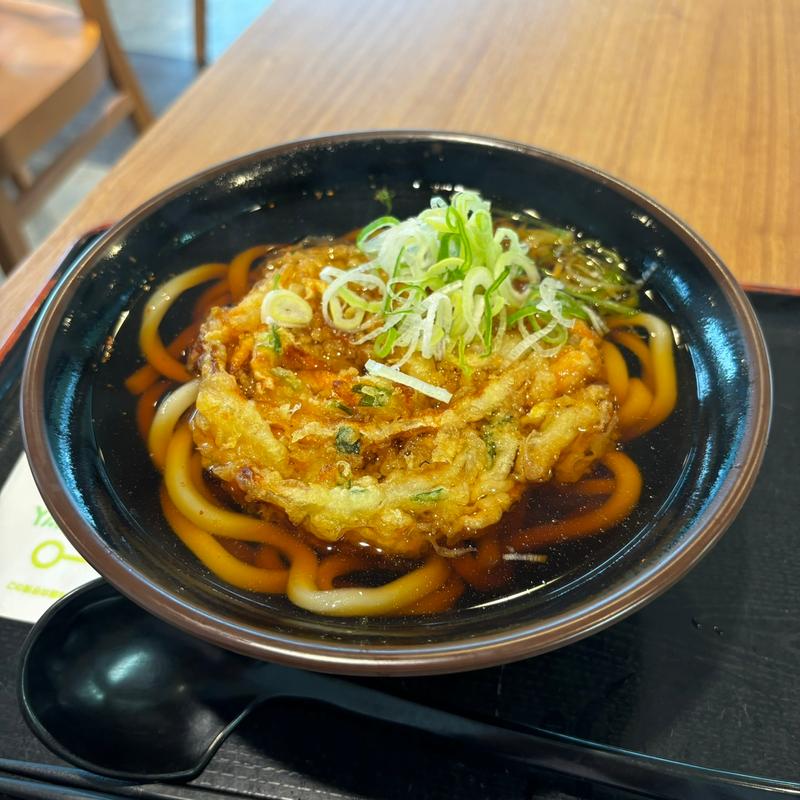 かき揚げ天うどん(嵐山PA(下り)スナックコーナー)