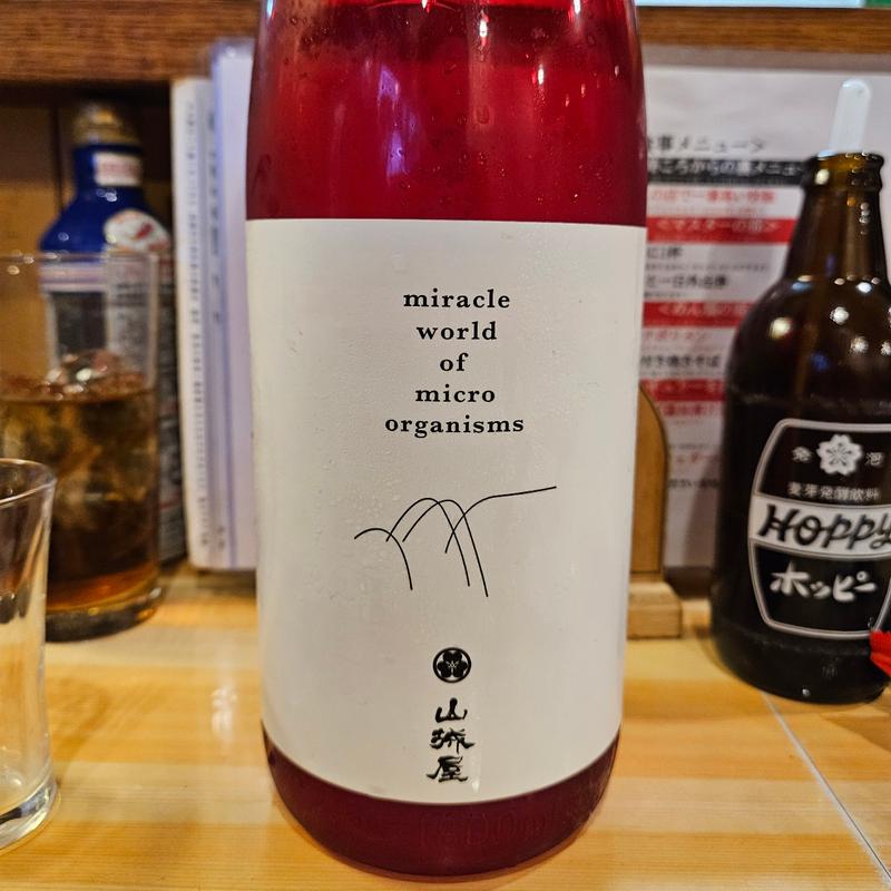 新潟「山城屋 matured -円熟- 生酛造り」(大衆酒場食堂 ななつぼし)