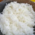 ごはん