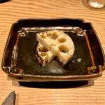 蓮根