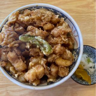 かき揚げ天丼(天ぷら 天藤(てんとう))