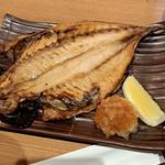 小田原のとろアジの開き