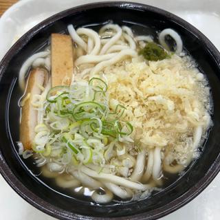 天かうどん(きっちょううどん 橘通店)