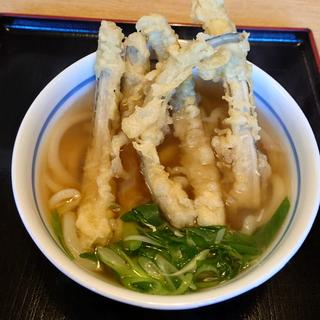 ごぼう天うどん