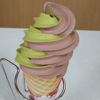 伊豆のぐり茶×北海道のあずき(市川製茶 本店 )
