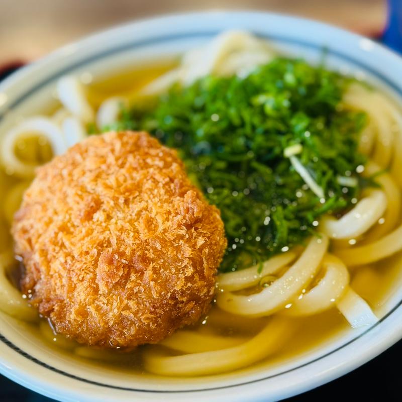 かけうどん中 コロッケトッピング(うどん村 辰巳店 )